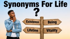 synonyms for life
