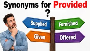 synonyms for provided