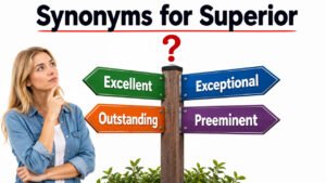 synonyms for superior