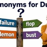 synonyms for dud