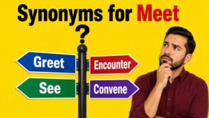 Synonyms for Meet