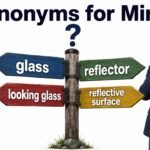 synonyms for mirror