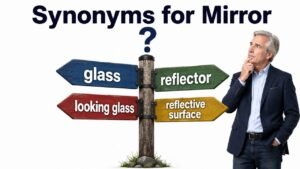 synonyms for mirror