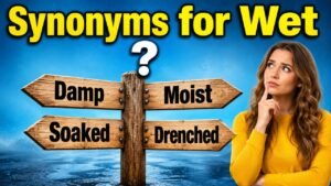 synonyms for wet